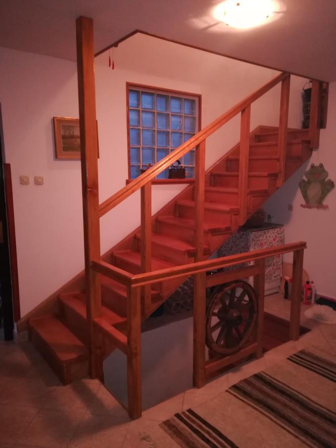 Villa Natali Donji Babin Potok Екстериор снимка