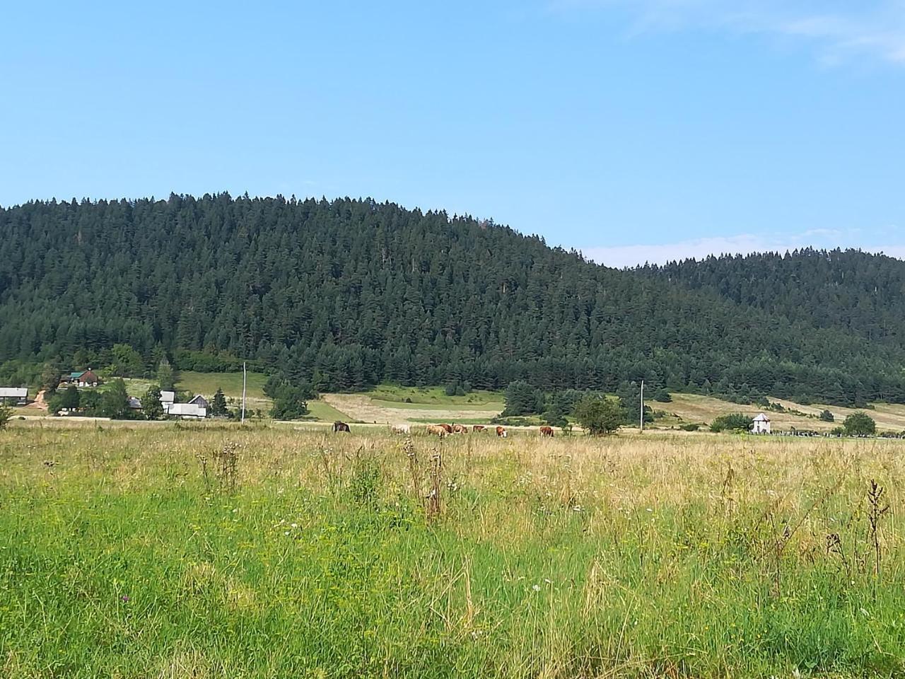 Villa Natali Donji Babin Potok Екстериор снимка