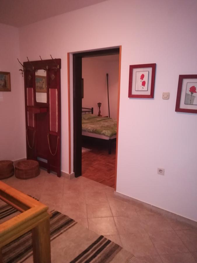 Villa Natali Donji Babin Potok Екстериор снимка