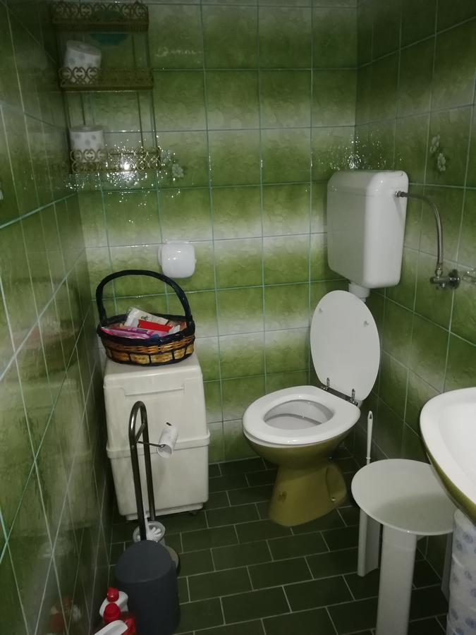 Villa Natali Donji Babin Potok Екстериор снимка
