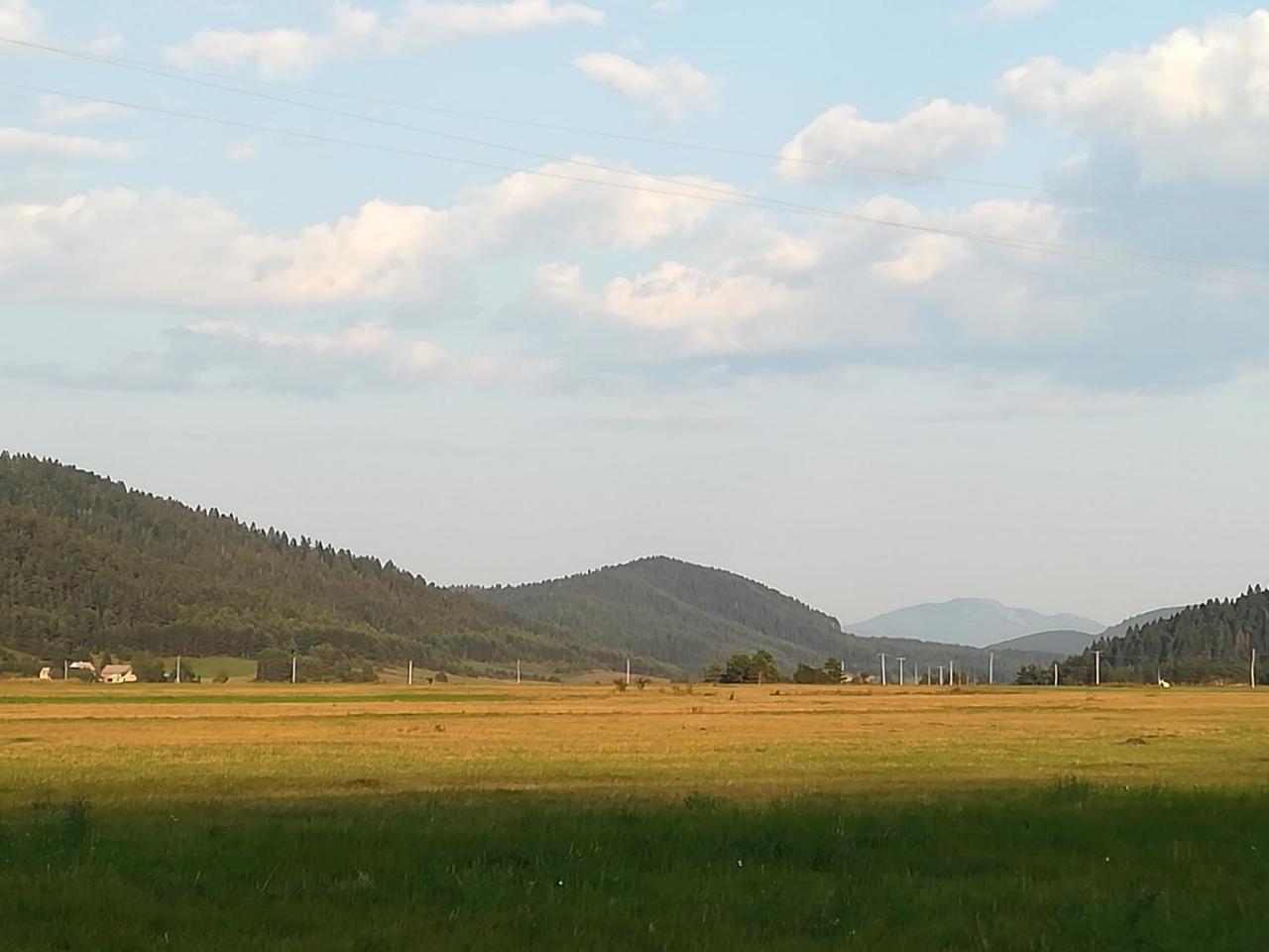 Villa Natali Donji Babin Potok Екстериор снимка