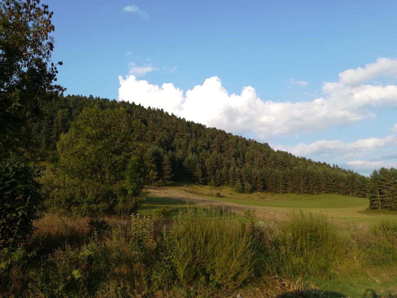 Villa Natali Donji Babin Potok Екстериор снимка