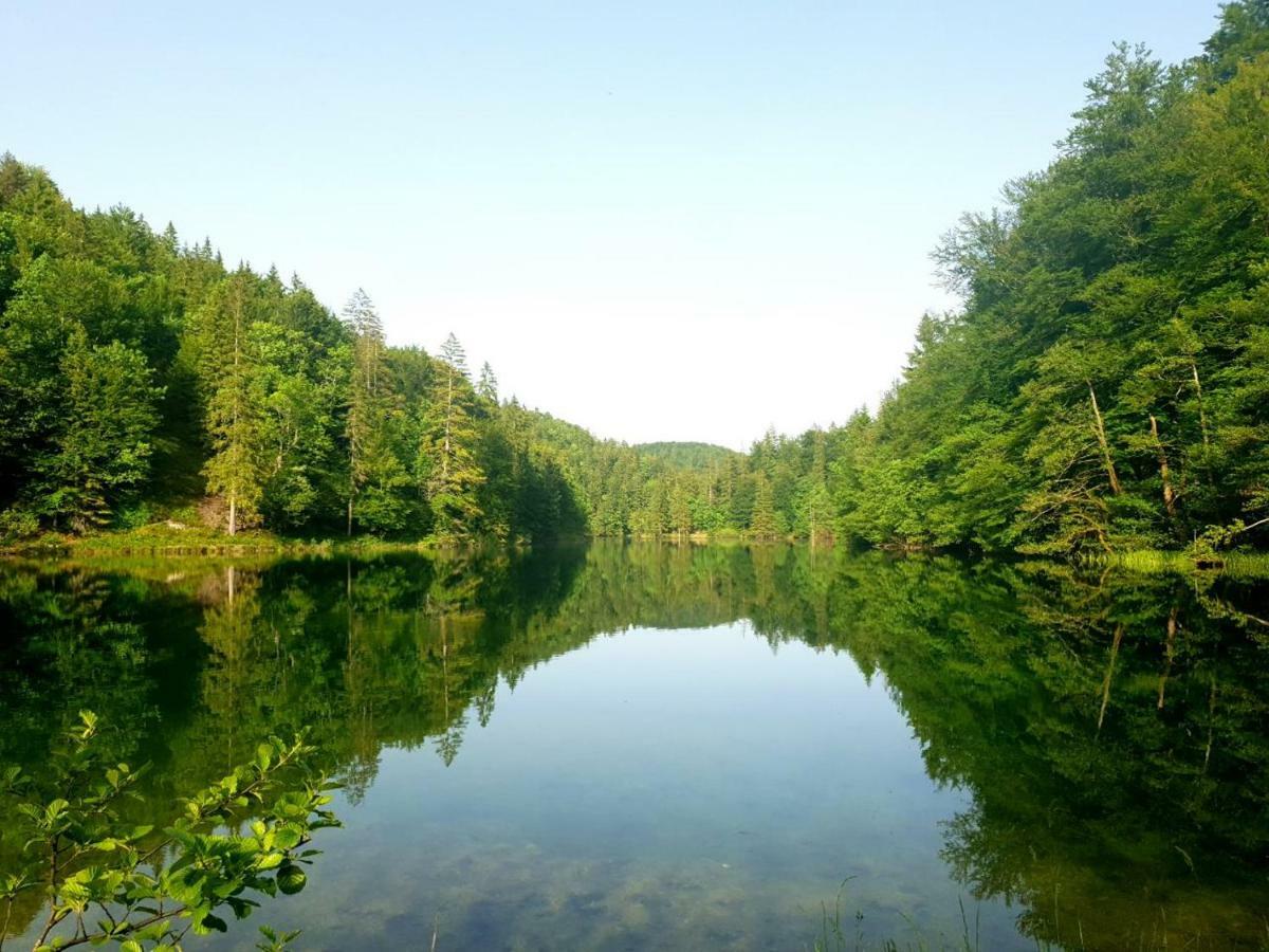 Villa Natali Donji Babin Potok Екстериор снимка