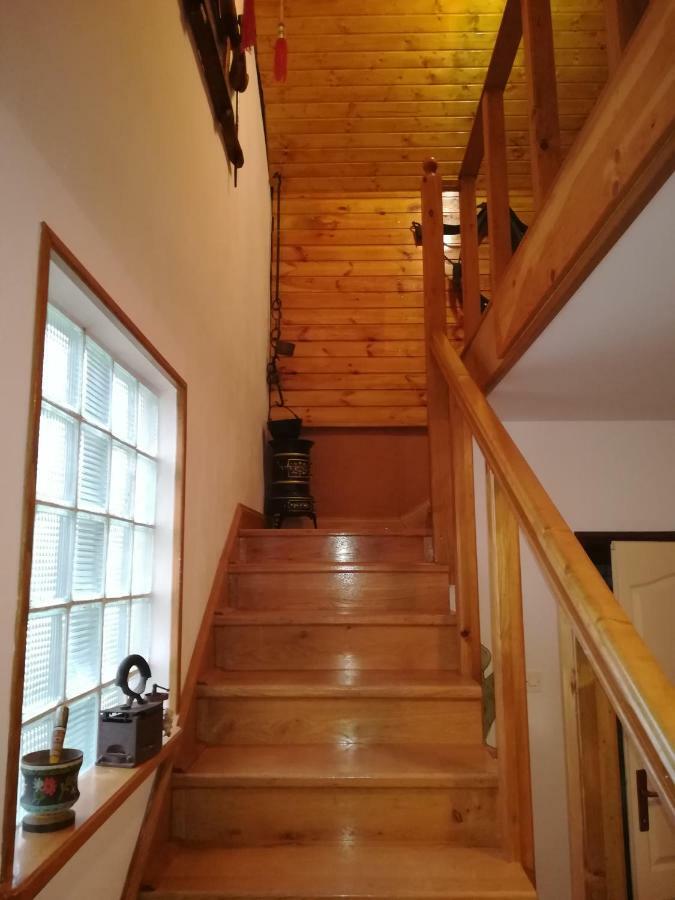 Villa Natali Donji Babin Potok Екстериор снимка